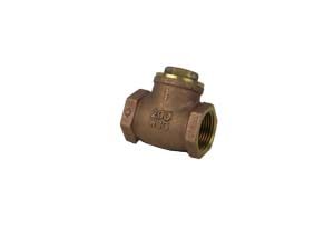 Check Valve, 1″ Swing